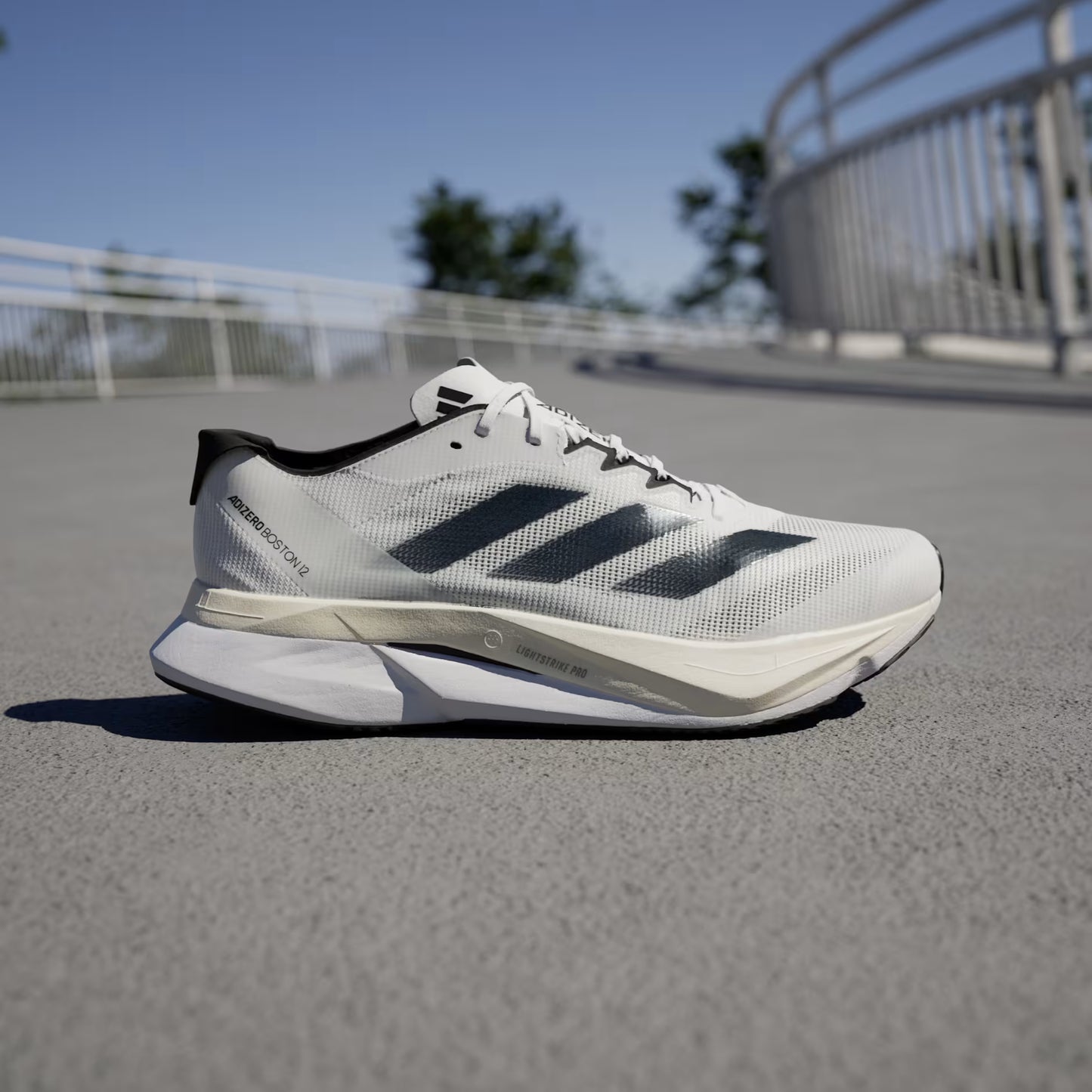 Adizero Boston 12M