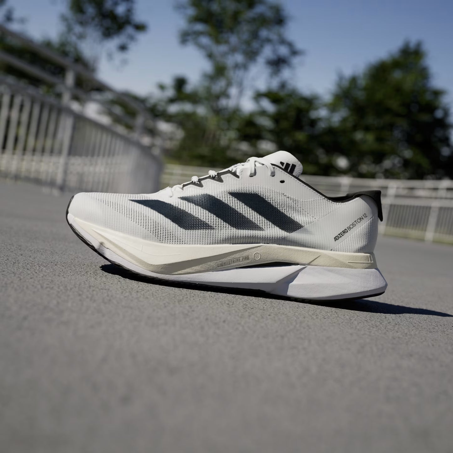 Adizero Boston 12M